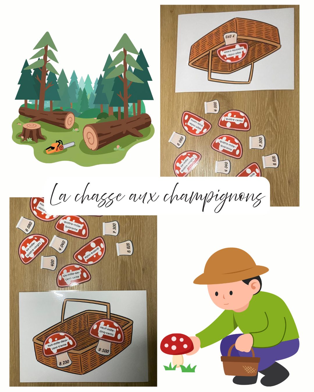 La chasse aux champignons
